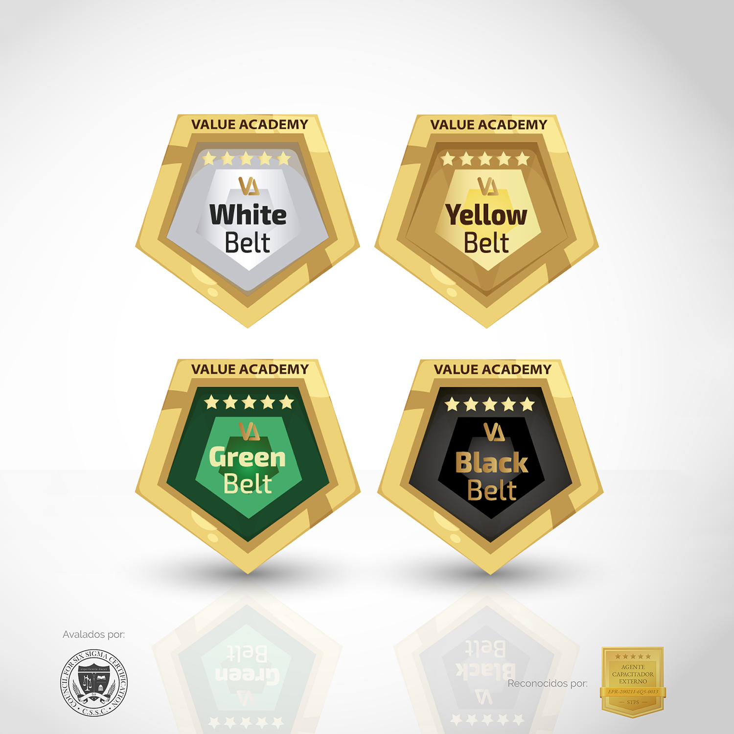 Certificaciones Lean Six Sigma White Belt + Yellow Belt + Green Belt + Black Belt White Belt + Yellow Belt + Green Belt + Black Belt - Imagen 1
