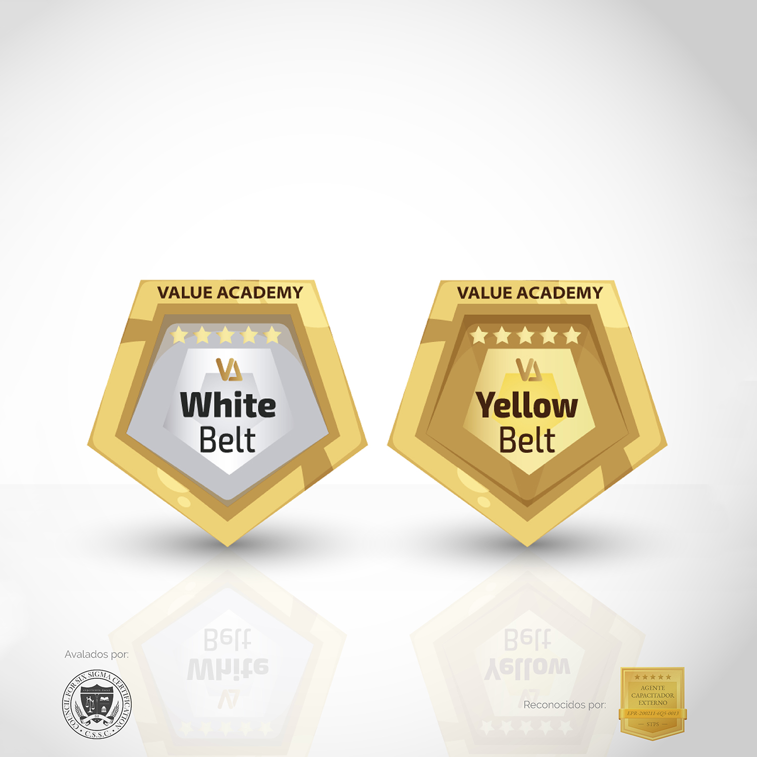 medallas VA e-commerce White Belt + Yellow Belt - Imagen 1